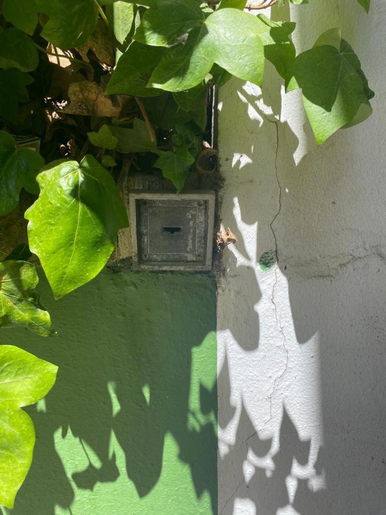 Rentalsevilla San Clemente エクステリア 写真