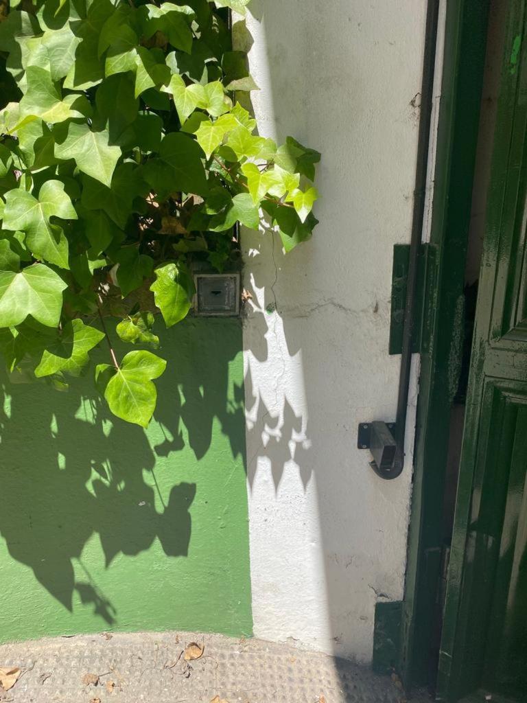Rentalsevilla San Clemente エクステリア 写真