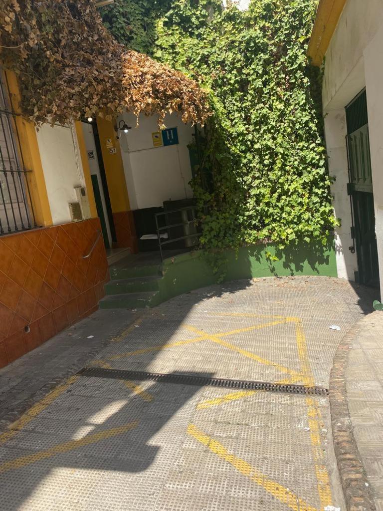 Rentalsevilla San Clemente エクステリア 写真
