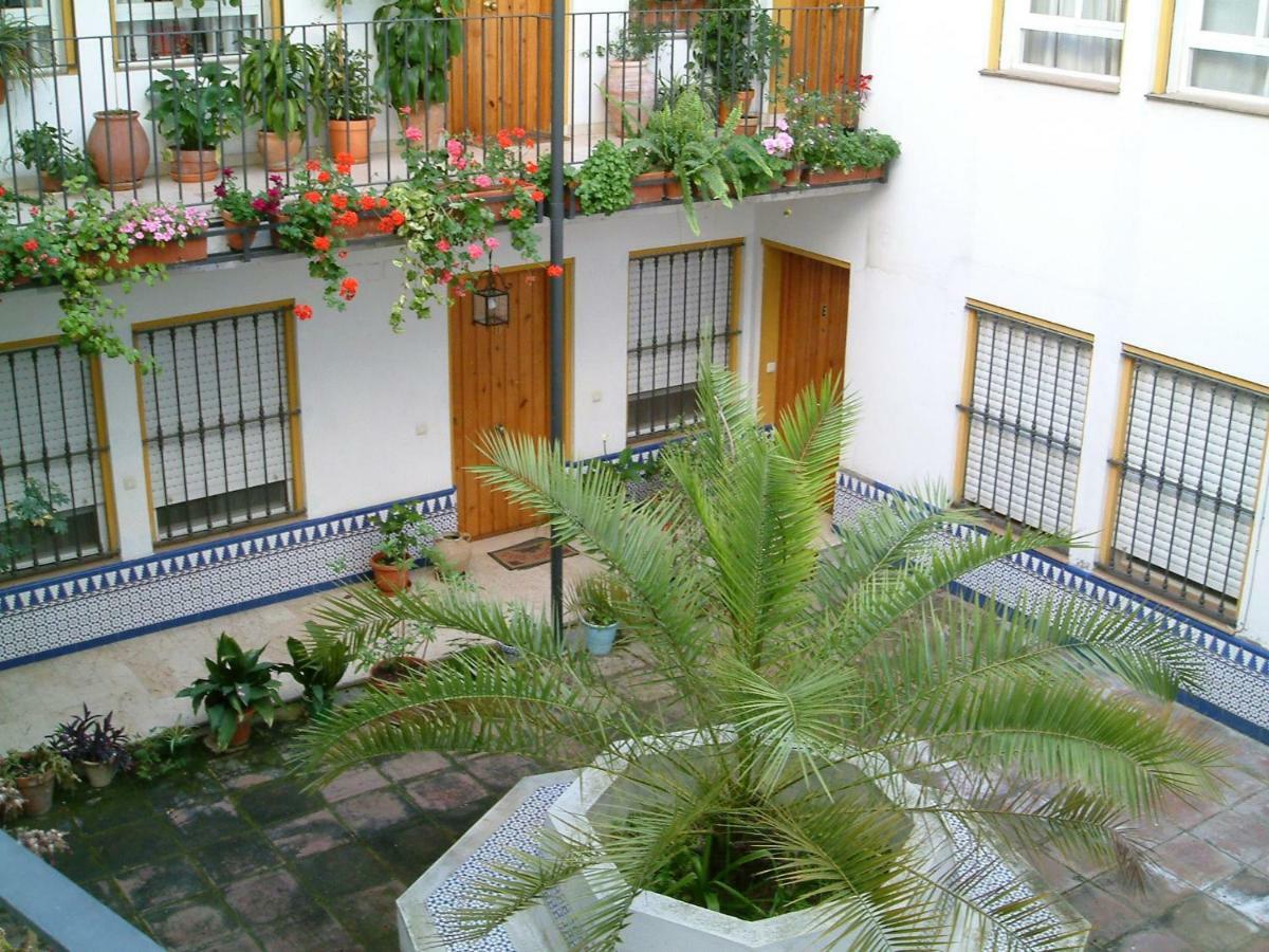 Rentalsevilla San Clemente エクステリア 写真